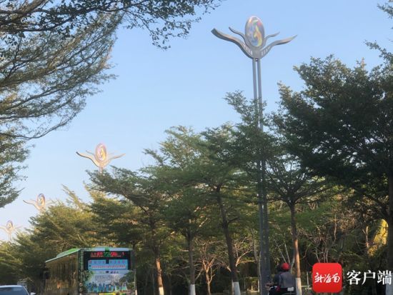 “亞沙大道”上海鷗造型的路燈。記者 譚琦攝
