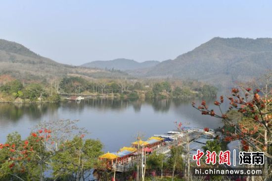 昌化江畔木棉紅。葉瑩供圖