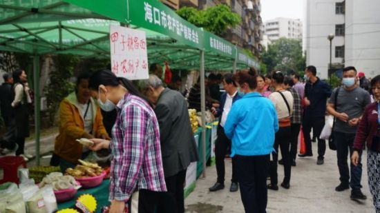 海南消費(fèi)助農(nóng)大集市走進(jìn)高校，新鮮果蔬受高校師生歡迎。符宇群攝