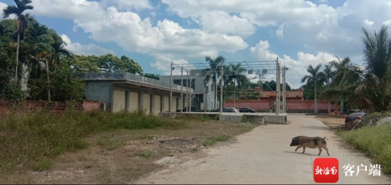 澄邁縣金江鎮(zhèn)軍口村違建戲臺(tái)正建在村民徐慶權(quán)新房門(mén)口，同時(shí)，還將出入村里的一條水泥路部分占用。記者 姜飛 攝