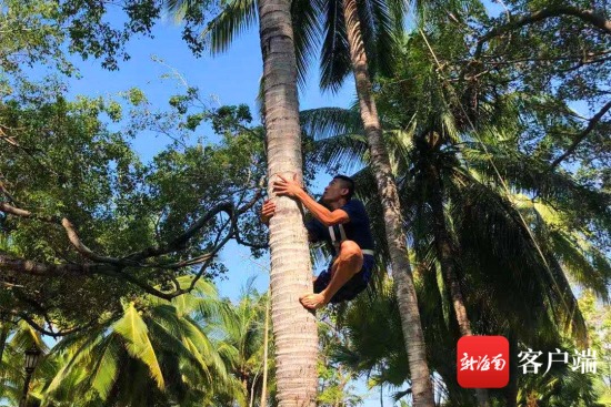 在攀爬近10米高椰子樹中，來自三亞消防的羅軍以9秒62獲得第一名。