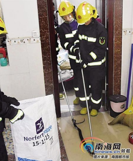 資料圖：消防員做好安全防護(hù)后，利用捕蛇器將其逮捕。