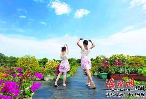 5月4日，位于瓊山區(qū)紅旗鎮(zhèn)的�？谌敲饭蚕磙r(nóng)莊，盛放滿(mǎn)園的三角梅吸引了眾多市民游客前來(lái)參觀。記者 楊杰 攝