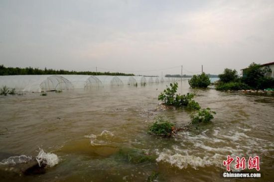 資料圖：暴雨后的河南安陽(yáng)。中新社記者 張暢 攝