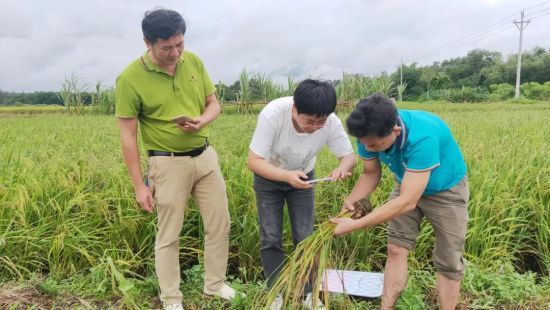圖片來源：澄邁新聞微信公眾號