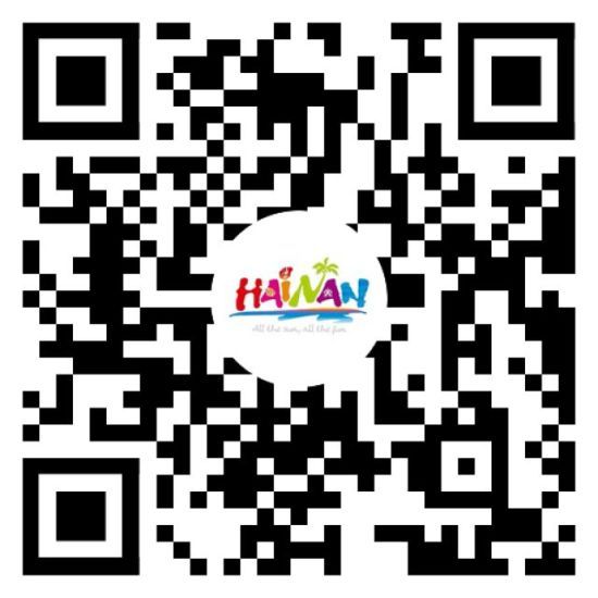 һߣpDiscoMV