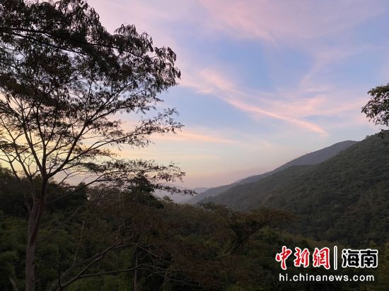 采訪團途經(jīng)霸道、情道實地探訪感受國家熱帶雨林公園的神奇魅力。符宇群攝