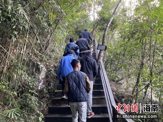 采訪團途經(jīng)霸道、情道實地探訪感受國家熱帶雨林公園的神奇魅力。符宇群攝