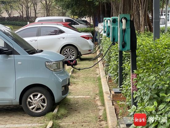 越來越多的車主選擇新能源汽車。記者 王子遙 攝