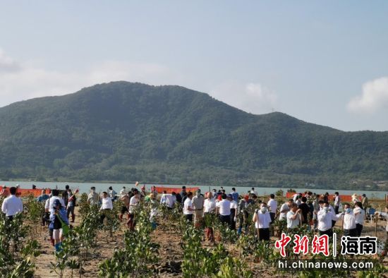 活動現(xiàn)場 李會影供圖