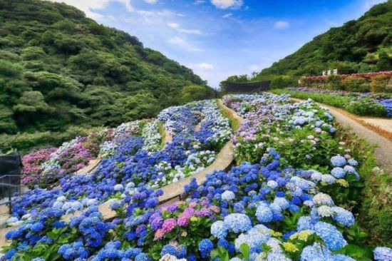 _(ti)ɽӺ5Cʢ_ _(ti)硱DΘI(y)ṩ