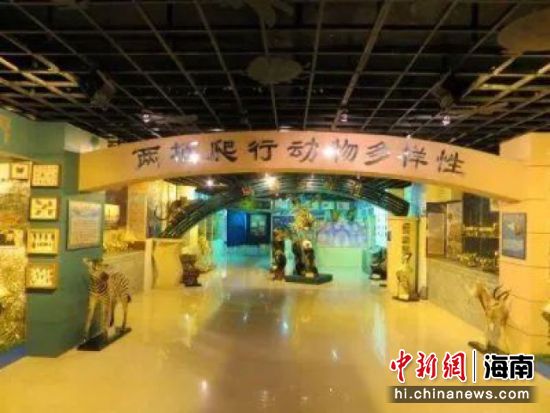 兩棲爬行動物多樣性展廳。海南師范大學(xué)供圖