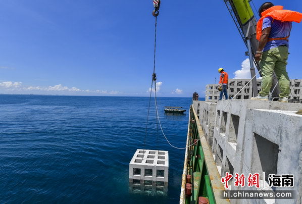資料圖：海南文昌投放人工魚礁建設(shè)海洋牧場。駱云飛 攝