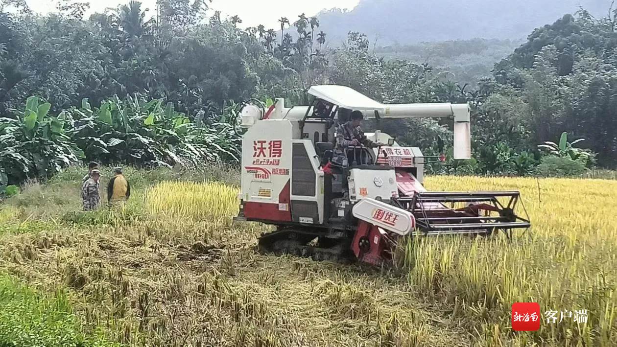 РI(zhn)O哌ýwD