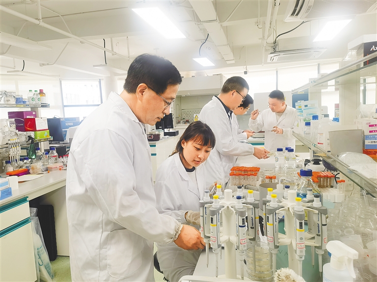 五月二十七日，省種業(yè)實(shí)驗(yàn)室內(nèi)，揭榜掛帥項(xiàng)目科研人員進(jìn)行交流討論。本報記者 黃媛艷 攝