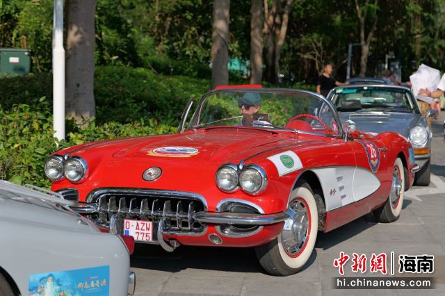 11月16日，2024世界老式汽車海南公開賽的首場活動在三亞啟動，圖為參賽的老式汽車。劉琪成 攝