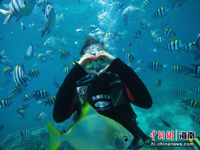 資料圖：游客在海南三亞蜈支洲島景區(qū)體驗海底潛水項目。 景區(qū)供圖