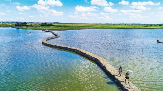 �？趪�(guó)倉(cāng)村石橋。 海南日?qǐng)?bào)記者 陳元才 攝
